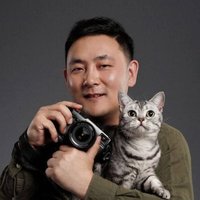 AMYWORKS职业赛猫摄影