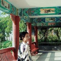 习鱼惹惹