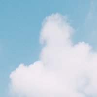 风不野