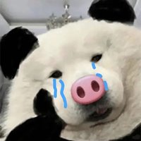 蒲明MING