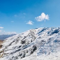 夏天爱喝冻柠茶