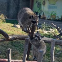 手动电风扇