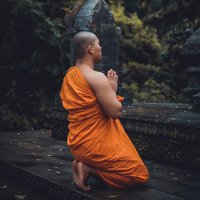 小师傅的图虫