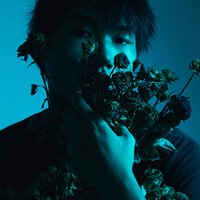 随然芯声
