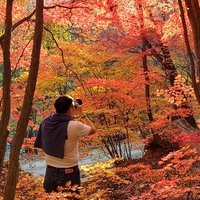 阳春人家