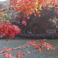 奉天老李头
