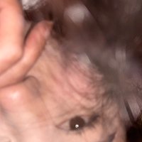 贰不贰拾贰