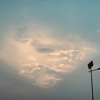 橘子瓣2024