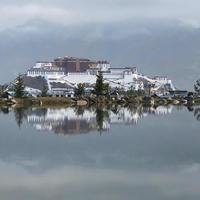 悠悠鱼zhang