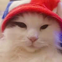 止痛片V先生