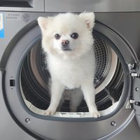 穆罕默德艾孜买提