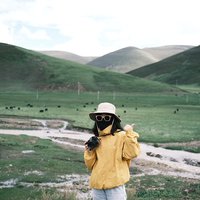 万能潘要捞热带鱼