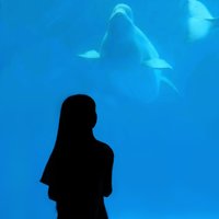 蓝色音符