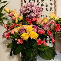 花开花落892
