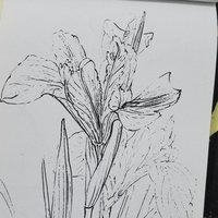 治舍