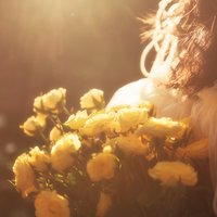 潦草花猫