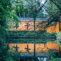 倾城丿