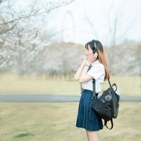铲屎官一枚