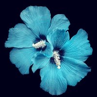 转折点0707