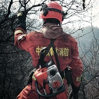 笨小乖