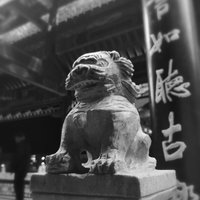 愤怒小孩