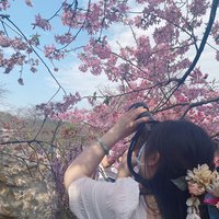 初八正在旅行中