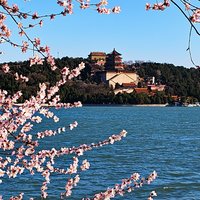北京老孔