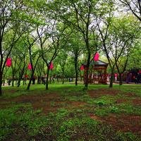 冬日里的暖阳302
