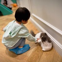 一颗老波吉