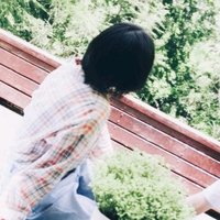 小七毛毛