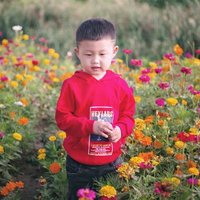 张张张小张