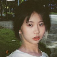 柴柴鱼