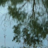 肆水D
