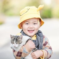 Mrstraycat