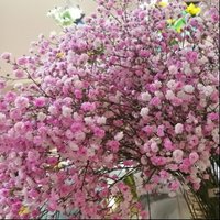天空下的流星雨