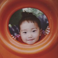 光影木鱼
