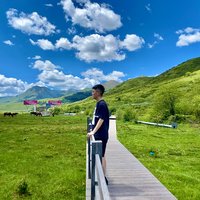 张文沁