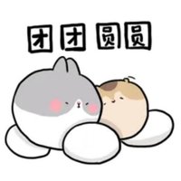 团团的圆圆