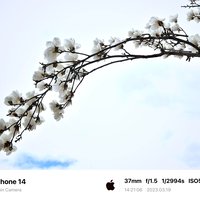 清石856