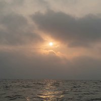 鹿与江海