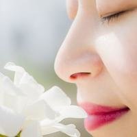 离安的小可爱