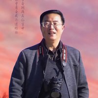 老荷不染