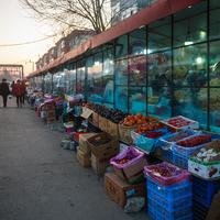 六六马