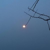 晚星不寒