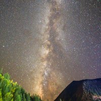 津沽老赵