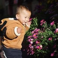 调琴大师