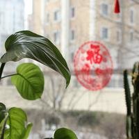 爱吃火锅的番茄酱