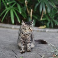 意合_