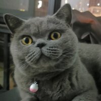 一般通过条子