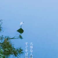 愈檀